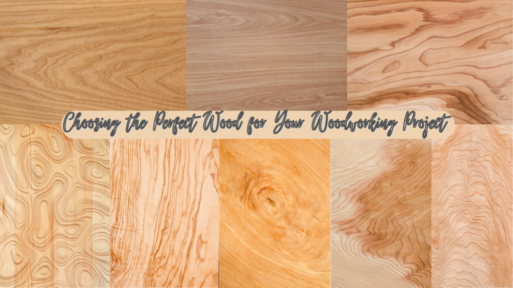 Explore the characteristics of hardwood, softwood, plywood, and exotic woods. Make informed decisions for Choosing the Perfect Wood endeavors.