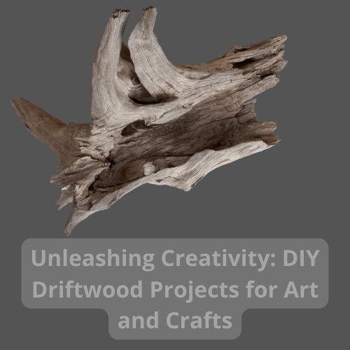 DIY driftwood projects stand out as a testament to the beauty of natural materials. Driftwood, with its weathered and unique shapes, provides an excellent canvas for artistic expression.